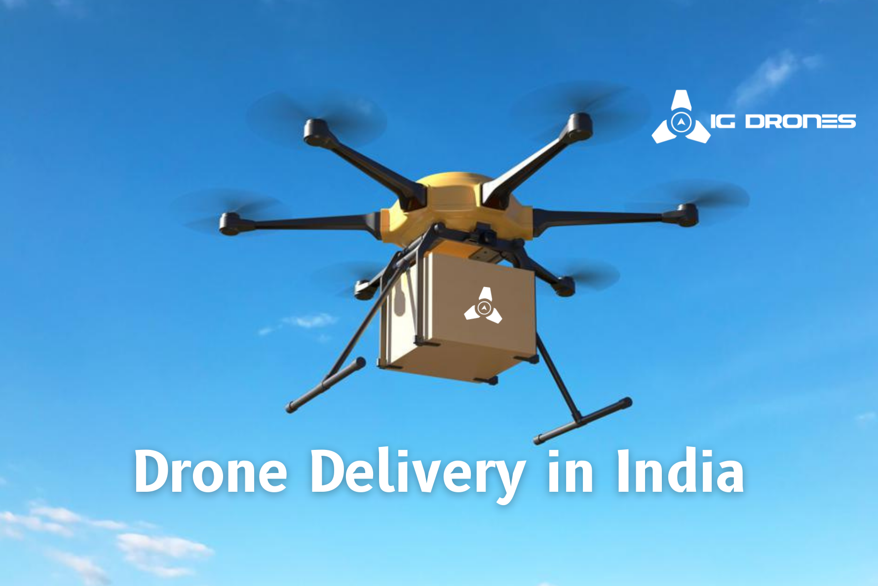 Drone_Delivery_in_India